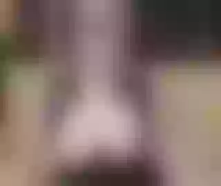 Live sex webcam photo for EveSquirt #15166586