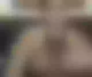 Live sex webcam photo for peneloperipe #15379363