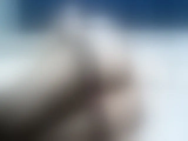Live sex webcam photo for Ellaquality #262213257