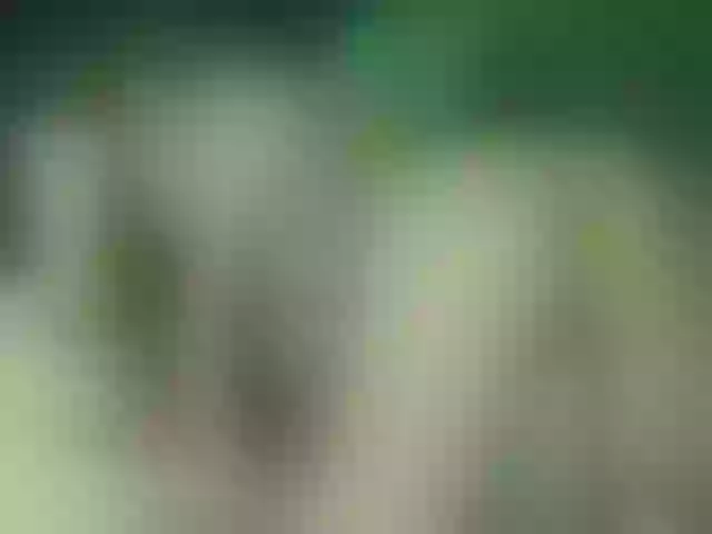Live sex webcam photo for Alexajoyy #252300507