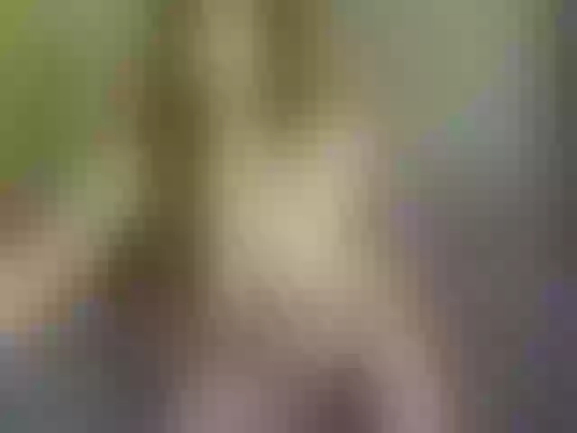 Live sex webcam photo for -Eternety- #241079255