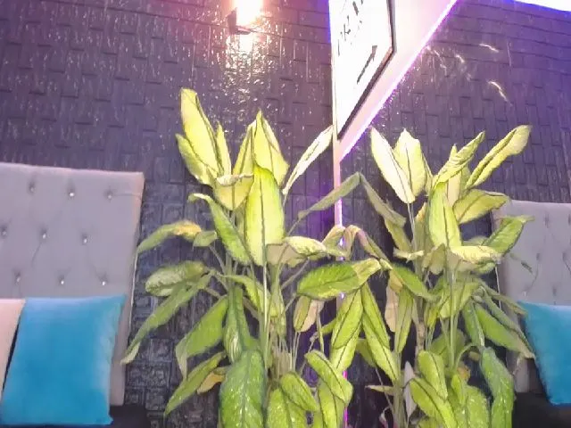 Live sex webcam photo for Ayisha_ #262297178