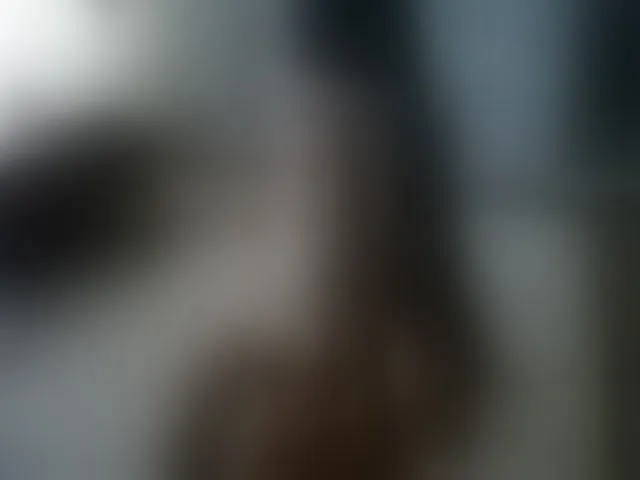 Live sex webcam photo for TeamInspire1 #262842206