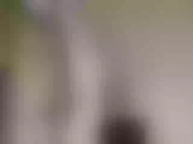 Live sex webcam photo for AfroditasWest #255448329