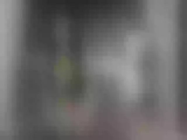 Live sex webcam photo for MariaPaulaX #241237451