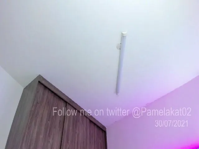 Live sex webcam photo for Pamela_Kat #261656979