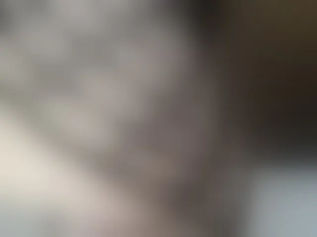Live sex webcam photo for jameela-hot #241419058