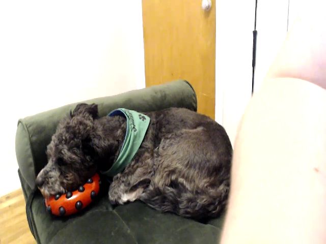 Live sex webcam photo for Gracie #260950345