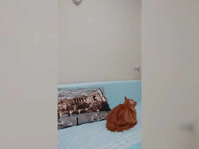 Live sex webcam photo for HotyWinter84 #242925497