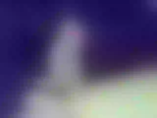 Live sex webcam photo for IngaQAce #287968514