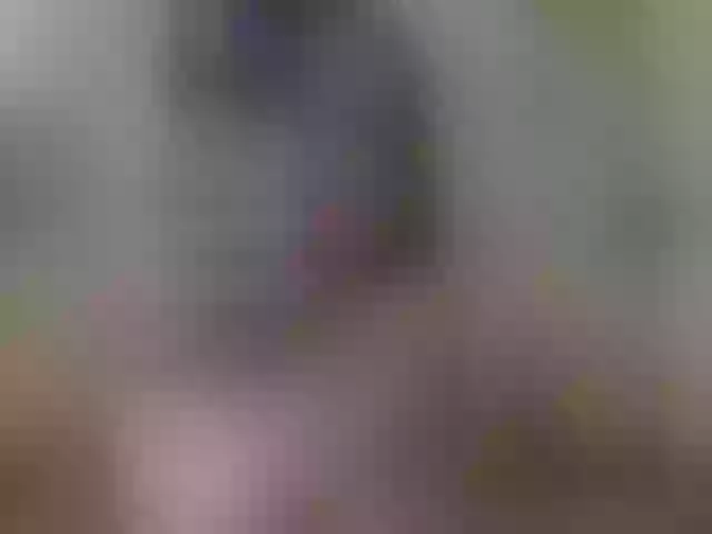 Live sex webcam photo for JolyBoss #254239825