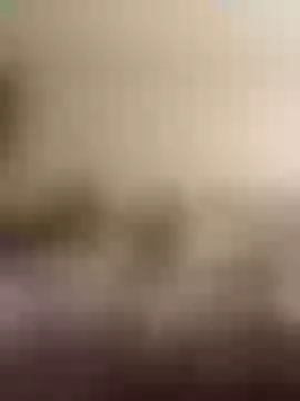 Live sex webcam photo for TayGreen #244686722