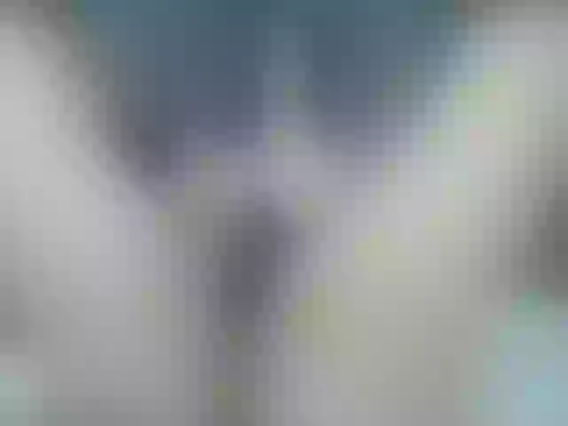 Live sex webcam photo for Afterhourgirl #260140865