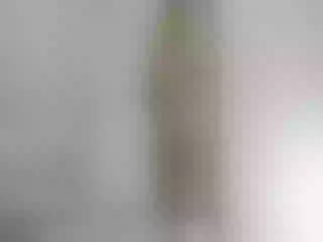 Live sex webcam photo for Anastasia_AG #253831349