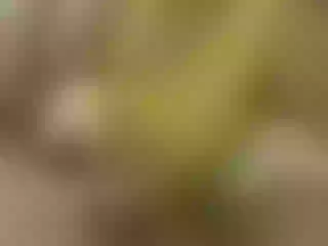 Live sex webcam photo for Lemonchello #252587801
