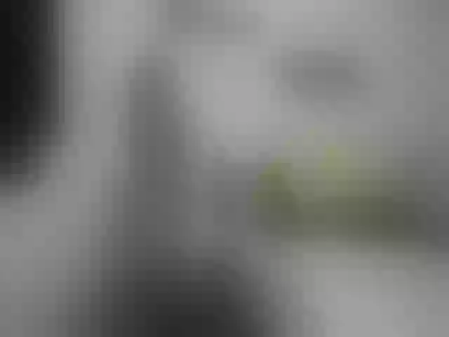 Live sex webcam photo for jennifer1177 #262813308