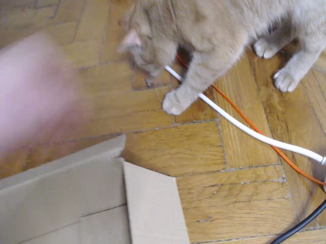 Live sex webcam photo for PetitePinkie #260307425