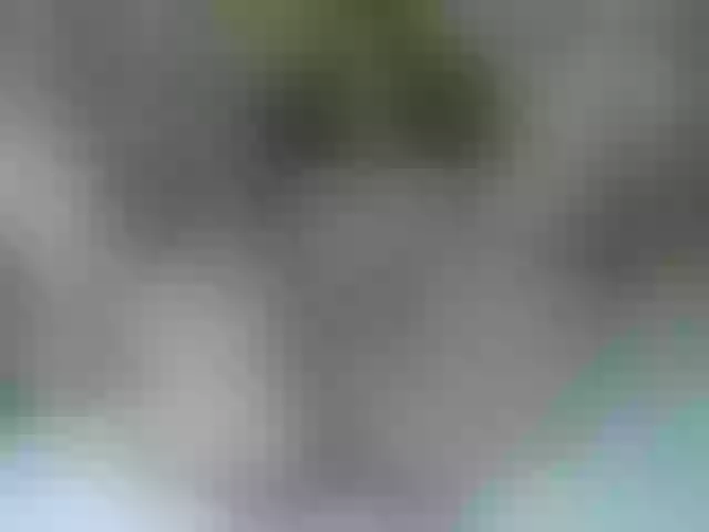 Live sex webcam photo for Mssburbuja #260464527