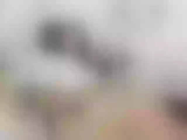 Live sex webcam photo for Merida- #241284325