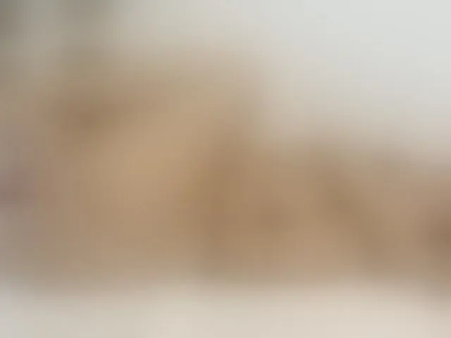 Live sex webcam photo for Merida- #241300639