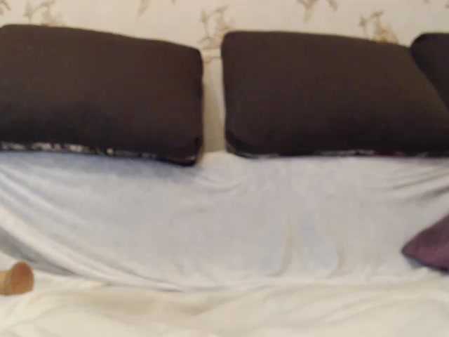 Live sex webcam photo for Elektraxxx #240972170