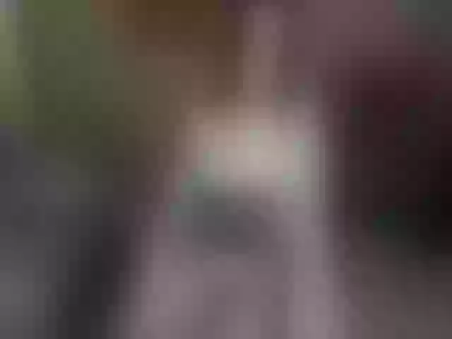 Live sex webcam photo for MonicaSage #257524145
