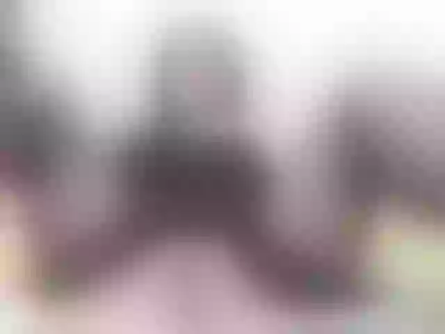Live sex webcam photo for Vikibru #241094598