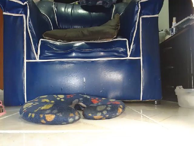 Live sex webcam photo for Alexia_Bonet #257402667