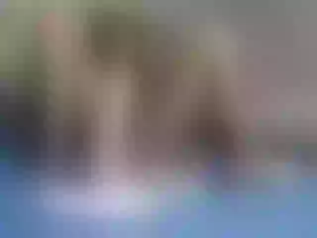 Live sex webcam photo for cheaptipmenu #241220975