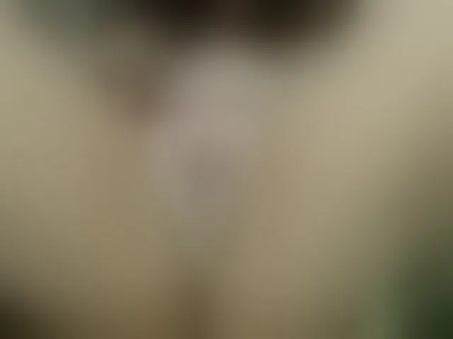 Live sex webcam photo for Amy_snow #255729656