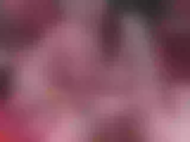 Live sex webcam photo for SeleneFox #248143496