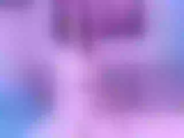Live sex webcam photo for WhitneyNeal #256892769