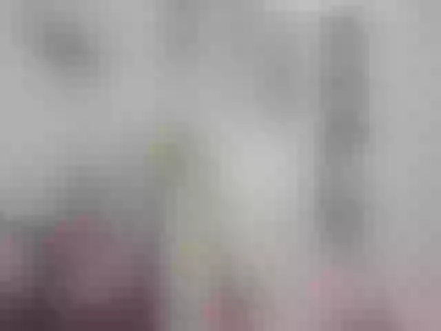 Live sex webcam photo for LEYNABRAUN #254906799