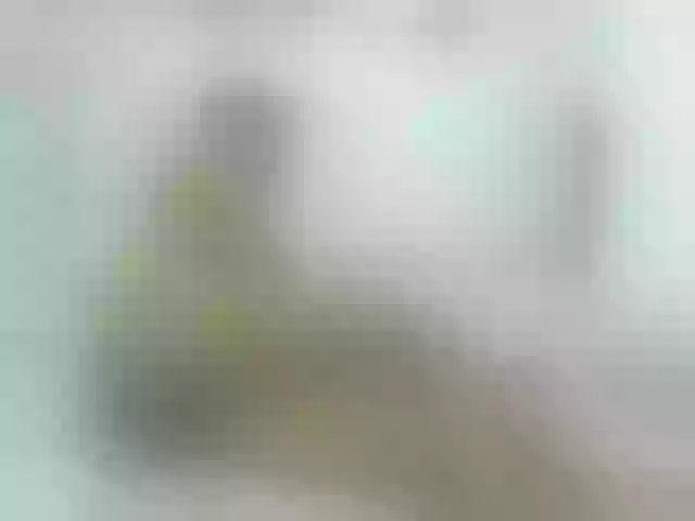 Live sex webcam photo for KiaraKaneel #243058573