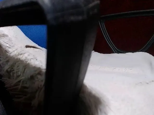 Live sex webcam photo for Evaladybri #253885014