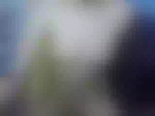 Live sex webcam photo for Himari1 #240938436