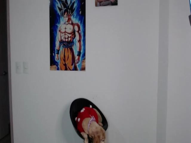 Live sex webcam photo for Bituin_ #254314861