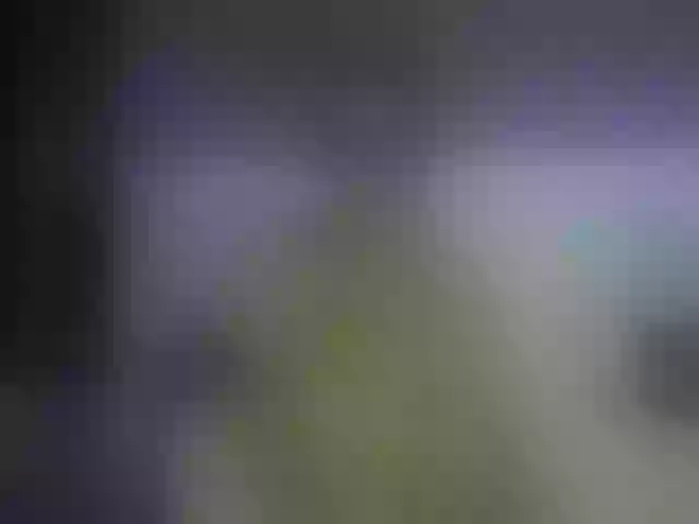 Live sex webcam photo for Your_Desirre #256159429