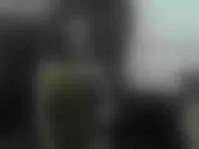 Live sex webcam photo for Louise-red #243342745