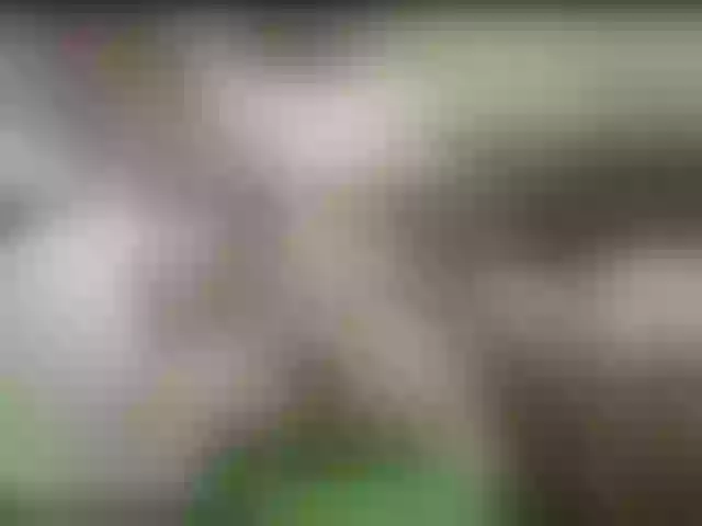 Live sex webcam photo for alisablond #241260518