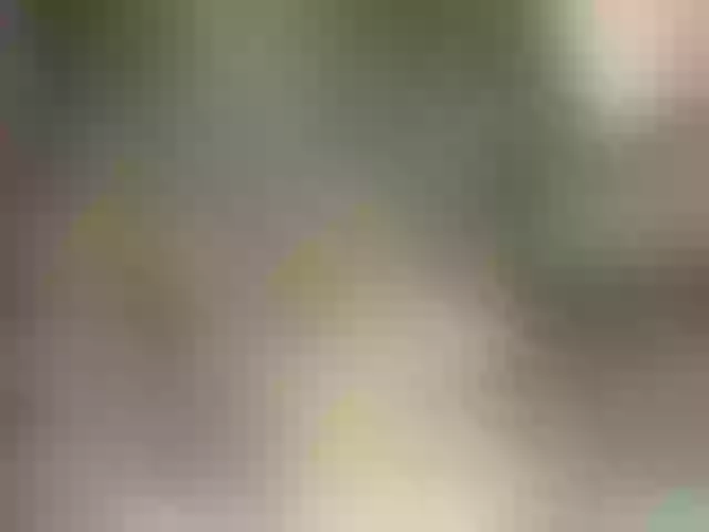 Live sex webcam photo for SweetBarbie #241062199