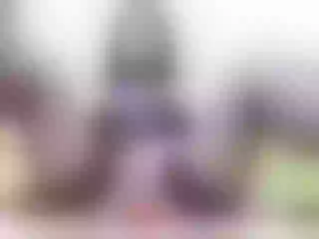 Live sex webcam photo for Vikibru #242181428