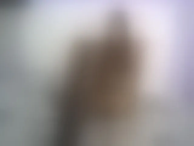 Live sex webcam photo for NoemiDavis #254541259