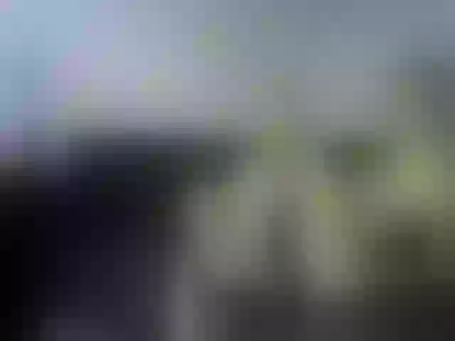 Live sex webcam photo for MyyDream #255156016