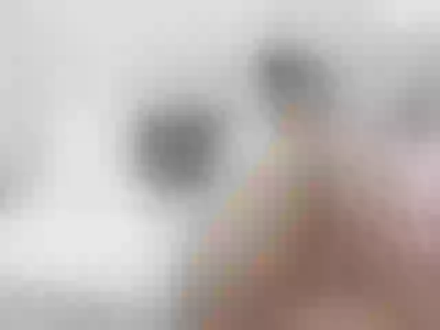 Live sex webcam photo for PoopyWilson #241395826