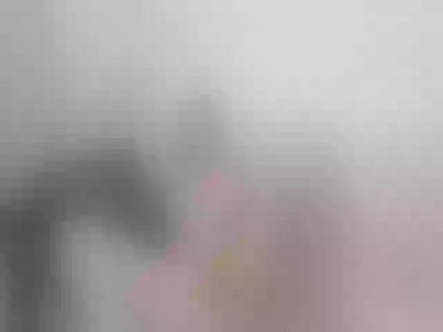 Live sex webcam photo for Alexisweets #261515334