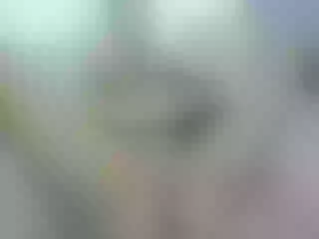 Live sex webcam photo for EVAXROSE #253915569