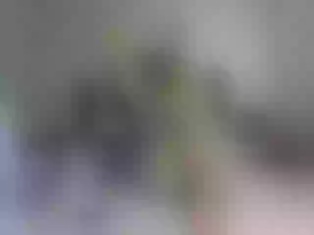 Live sex webcam photo for Sellena_Girl #252406839