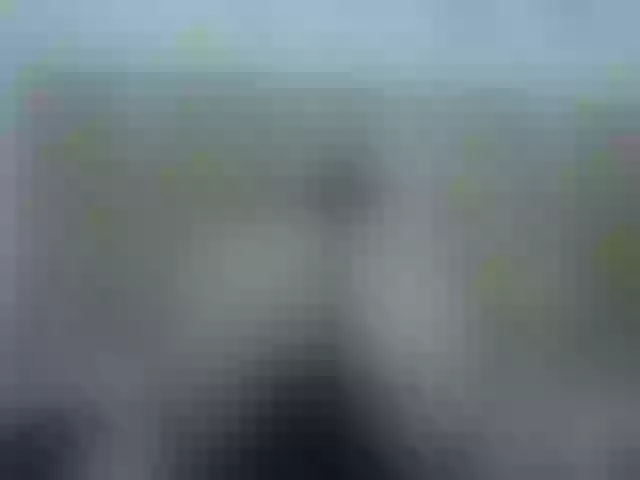 Live sex webcam photo for Mssburbuja #256828795