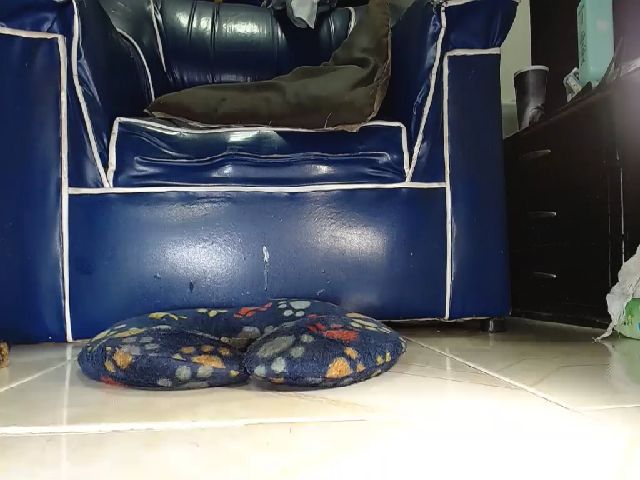 Live sex webcam photo for Alexia_Bonet #255219964